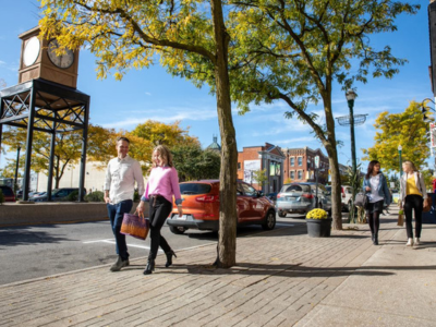 A groups holds up their wine glasses to cheers.